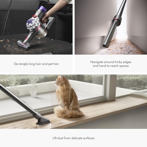 Dyson V8 Plus Cordless Vacuum  Cleans Hard Floors and Carpets  Detangles  Converts to Handheld  115AW  2 Power Modes  Up to 40 Minutes 