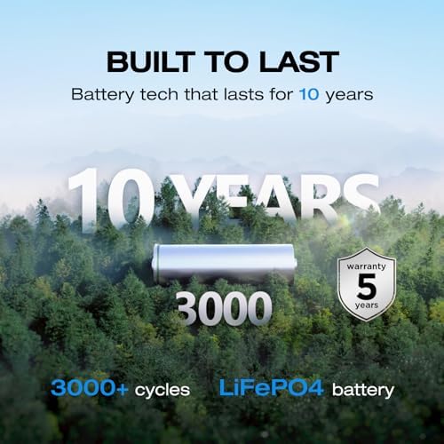 EF ECOFLOW Estación de energía portátil RIVER 2 con panel solar de 45 W, batería LiFePO4 de 256 Wh/1 hora de carga rápida, hasta 600 W de salida, generador solar para campamento al aire libre/RVs/uso doméstico