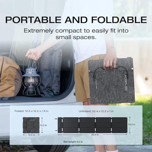 EF ECOFLOW Portable Power Station RIVER 2 with 60W Solar Panel  256Wh LiFePO4 Battery/ 1 Hour Fast Charging  Up to 600W Output  Solar Generator for Outdoor Camping/RVs/Home Use