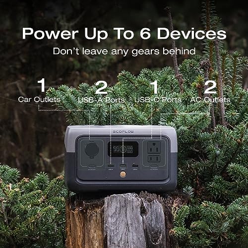 EF ECOFLOW Portable Power Station RIVER 2 with 60W Solar Panel  256Wh LiFePO4 Battery/ 1 Hour Fast Charging  Up to 600W Output  Solar Generator for Outdoor Camping/RVs/Home Use