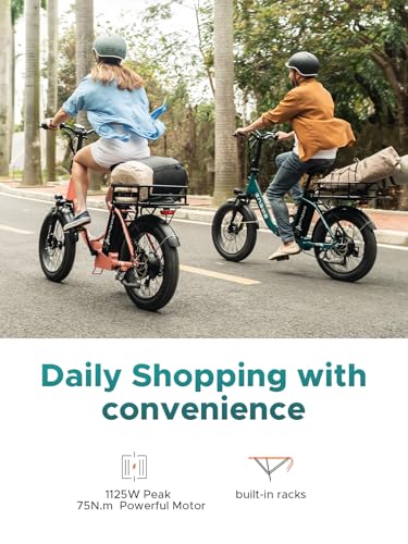 ENGWE Bicicleta eléctrica de 1125 W/750 W para adultos, L20 2.0 20 pulgadas × 3.0 pulgadas, bicicleta eléctrica de neumático grueso 52V/36V 13Ah batería extraíble Rango máximo 68/62 millas y 28/20 MPH