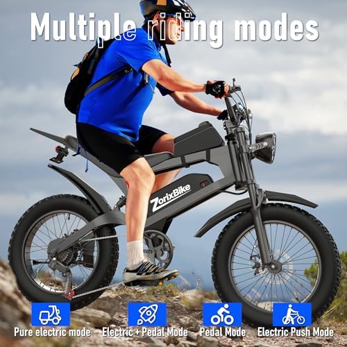 Electric Bike for Adults 48V 20AH   Peak Power 1500/3000W Brushless Motor Electric Bicycle   Max Speed 31 35MPH   Max 80 Miles Range   20 x 4 0 Fat Tire Dirt E Bike 7 Speed