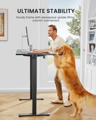 ErGear - Escritorio eléctrico de pie con altura ajustable, 48 x 24 pulgadas, para sentarse y pararse, computadora con memoria, para oficina en casa (negro)