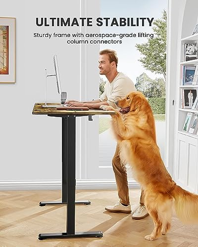 ErGear Height Adjustable Electric Standing Desk  55 x 28 Inches Sit Stand up Desk  Large Memory Computer Home Office Desk with Two Piece Desktop  Vintage Brown 