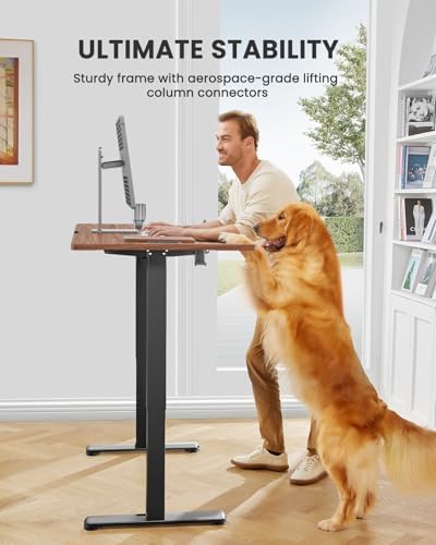 ErGear Height Adjustable Electric Standing Desk  47 2 x 23 6 Inches Sit Stand up Desk  Memory Computer Home Office Desk with Two Piece Desktop  Black