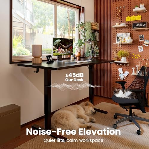 ErGear Height Adjustable Electric Standing Desk  47 2 x 23 6 Inches Sit Stand up Desk  Memory Computer Home Office Desk  Black 