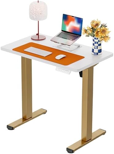 ErGear Height Adjustable Electric Standing Desk  47 2 x 23 6 Inches Sit Stand up Desk  Memory Computer Home Office Desk  Black 