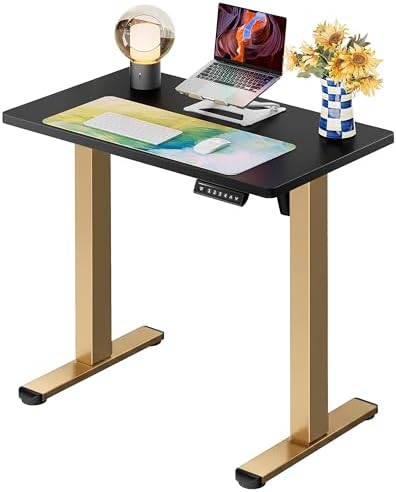 ErGear Height Adjustable Electric Standing Desk  47 2 x 23 6 Inches Sit Stand up Desk  Memory Computer Home Office Desk  Black 