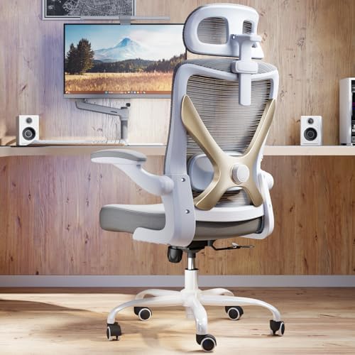 Ergonomic Office Chair   X Shaped Computer Desk Chair Comfy  Gaming Chair  Office Chair with Lumbar Support  Mesh Office Chairs with Headrests  Desk Chair for Long Hours  Black Silver 