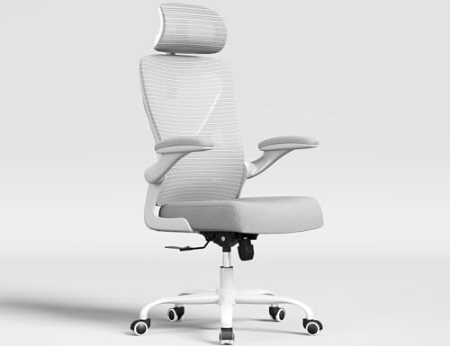 Ergonomic Office Chair   X Shaped Computer Desk Chair Comfy  Gaming Chair  Office Chair with Lumbar Support  Mesh Office Chairs with Headrests  Desk Chair for Long Hours  Black Silver 