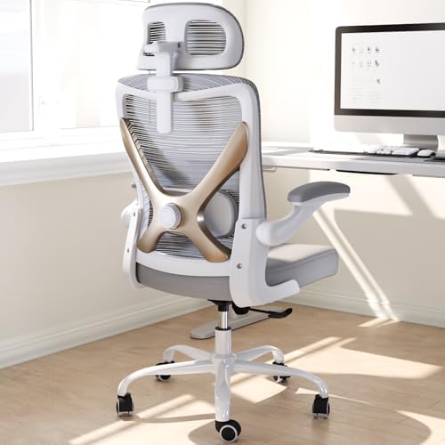Ergonomic Office Chair   X Shaped Computer Desk Chair Comfy  Gaming Chair  Office Chair with Lumbar Support  Mesh Office Chairs with Headrests  Desk Chair for Long Hours  Black Silver 