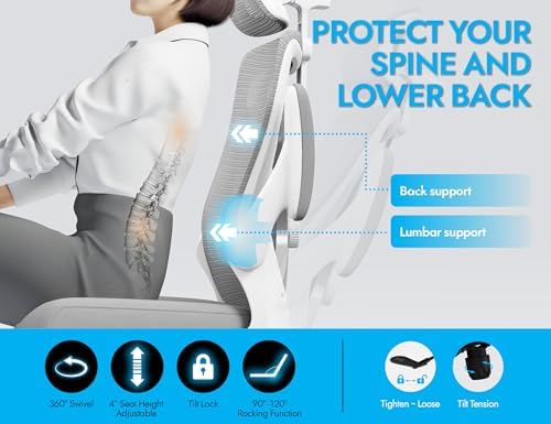 Ergonomic Office Chair   X Shaped Computer Desk Chair Comfy  Gaming Chair  Office Chair with Lumbar Support  Mesh Office Chairs with Headrests  Desk Chair for Long Hours  Black Silver 