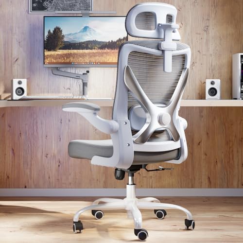 Ergonomic Office Chair   X Shaped Computer Desk Chair Comfy  Gaming Chair  Office Chair with Lumbar Support  Mesh Office Chairs with Headrests  Desk Chair for Long Hours  Black Silver 