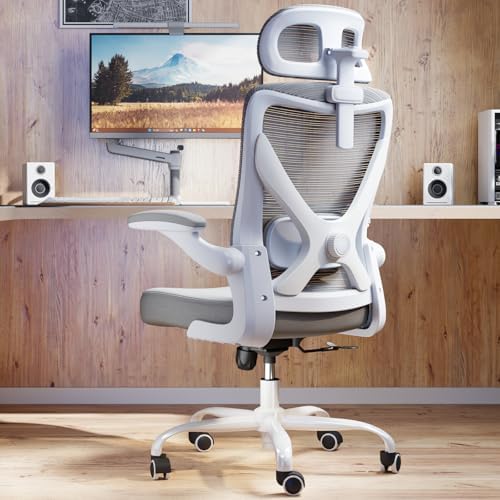 Ergonomic Office Chair   X Shaped Computer Desk Chair Comfy  Gaming Chair  Office Chair with Lumbar Support  Mesh Office Chairs with Headrests  Desk Chair for Long Hours  Black Silver 