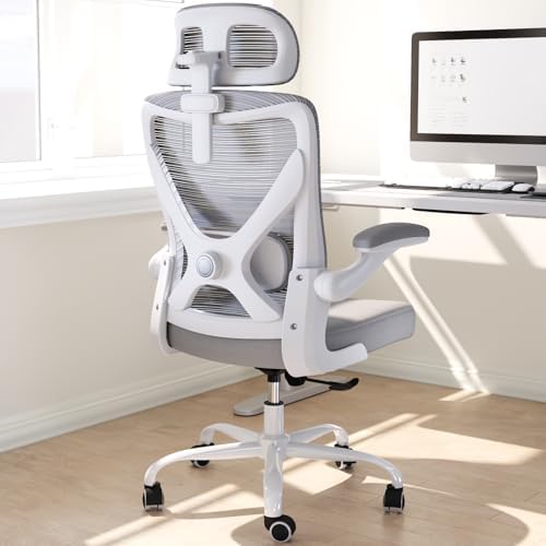 Ergonomic Office Chair   X Shaped Computer Desk Chair Comfy  Gaming Chair  Office Chair with Lumbar Support  Mesh Office Chairs with Headrests  Desk Chair for Long Hours  Black Silver 