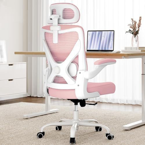 Ergonomic Office Chair   X Shaped Computer Desk Chair Comfy  Gaming Chair  Office Chair with Lumbar Support  Mesh Office Chairs with Headrests  Desk Chair for Long Hours  Black Silver 