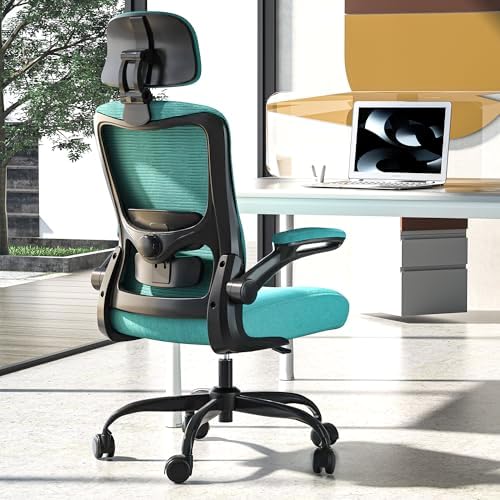 Ergonomic Office Chair  High Back Mesh Desk Chair with Adjustable Lumbar Support & Headrest  Flip up Armrest  Computer Task Chairs for Home and Executive Office  W Grey 