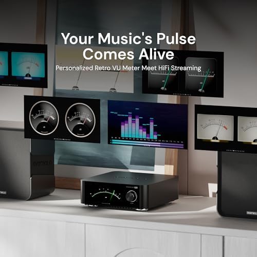 Eversolo Play   Music Streamer with DAC & Amplifier 60W 2ch 8   / 110W 2ch 4     5 5 LCD Touchscreen  Support Room Correction & Multi Room System  Stream Qobuz  Tidal&More   Black  Standard Edition 