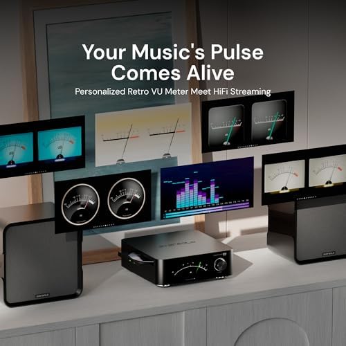 Eversolo Play   Music Streamer with DAC & Amplifier 60W 2ch 8   / 110W 2ch 4     5 5 LCD Touchscreen  Support Room Correction & Multi Room System  Stream Qobuz  Tidal&More   Black  Standard Edition 