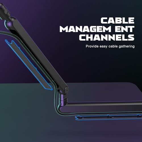 FIFINE Microphone Boom Arm  Low Profile Adjustable Stick Microphone Arm Stand with Desk Mount Clamp  Screw Adapter  Cable Management  for Podcast Streaming Gaming Studio BM88