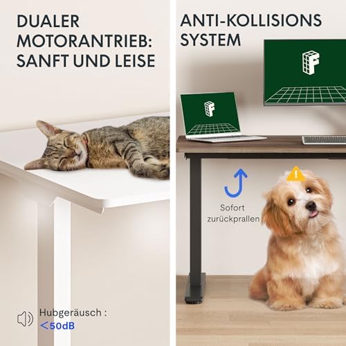 FLEXISPOT 71x32 Large Dual Motor Electric Standing Desk  Black Walnut   198 LBS Heavy Duty Capacity  Ideal for Home Office  Creative Studio  or Multi Monitor Setup