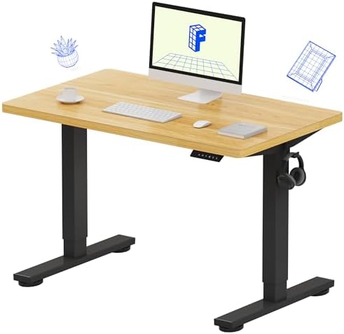 FLEXISPOT EN1 One Piece Standing Desk  Electric Adjustable with 4 Memory Presets  176 LBS Capacity  Stable & Quiet  Seamless Desktop for Home Office & Dual Monitors  55x28 White