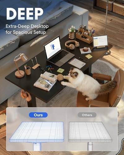 FLEXISPOT EN1 One Piece Standing Desk  Electric Adjustable with 4 Memory Presets  176 LBS Capacity  Stable & Quiet  Seamless Desktop for Home Office & Dual Monitors  55x28 Black