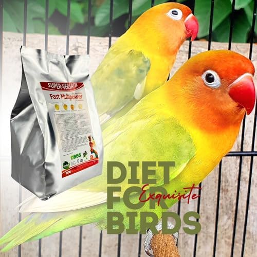 Fast Multipower Bird Food by Super Versatil   20 Percent Protein for Canary and Small Bird  Chick Feed with Milk Thistle Extract for Chicks High Energy Blend Silver Foil Bag 5 Lb