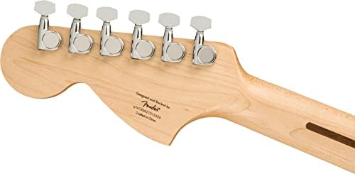 Fender Squier Affinity Stratocaster Limited Edition   Olympic White Bundle with Frontman 10G Amplifier  Gig Bag  Tuner  Instrument Cable  Strap  Picks  and Austin Bazaar Instructional DVD