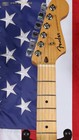 Fender Standard Stratocaster   Olympic White