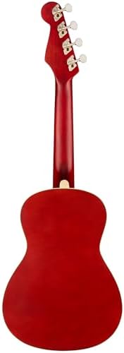 Fender Venice Soprano Ukulele   Surf Green Bundle with Gig Bag  Tuner  and Austin Bazaar Instructional DVD