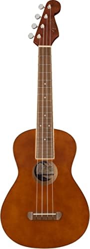 Fender Venice Soprano Ukulele   Surf Green Bundle with Gig Bag  Tuner  and Austin Bazaar Instructional DVD