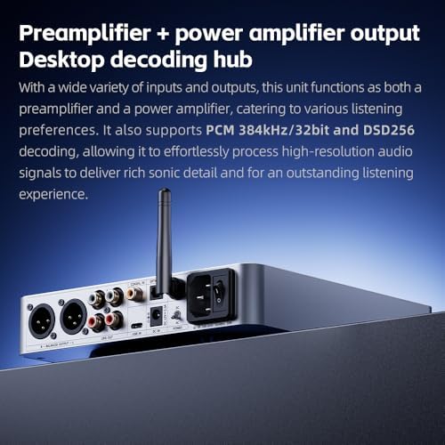 FiiO K13 R2R Desktop DAC & Headphone Amp  High Fidelity 24Bit R2R DAC  Powerful 2400mW Output  LDAC Bluetooth Streaming  Dual Power Supply  10 Band PEQ  Balanced XLR & RCA Audio Output  Silver 