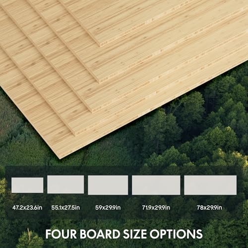 FlexiSpot E6 Bamboo 3 Stage Dual Motor Electric Standing Desk 55 x 28 Sit Stand Up Desk  Holds 220 lbs  Adjustable Height w/ Memory Presets  Solid Bamboo Desktop & White Frame  Ships in 2 Boxes