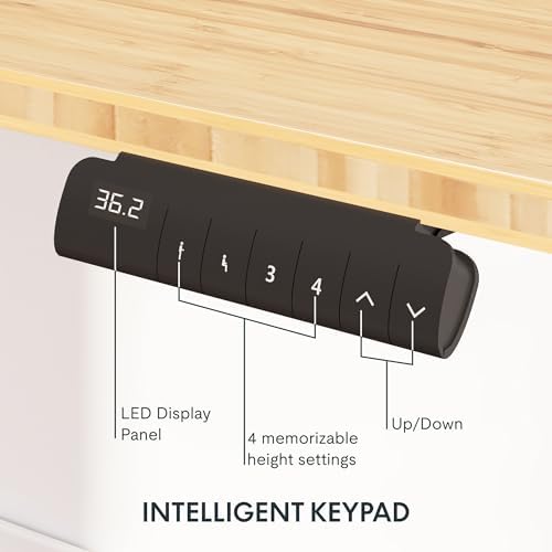FlexiSpot E6 Bamboo 3 Stage Dual Motor Electric Standing Desk 48 x 24 Sit Stand Up Desk  Holds 220 lbs  Adjustable Height w/ Memory Presets  Solid Bamboo Desktop & Black Frame  Ships in 2 Boxes