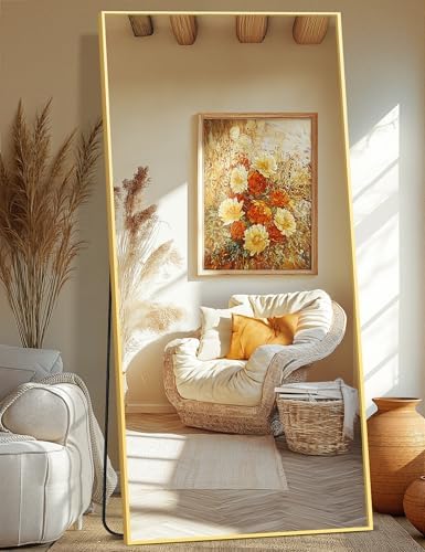 Full Length Mirror  Standing Large Floor Mirror with Aluminum Frame for Bedroom  Living Room  Bathroom Black 