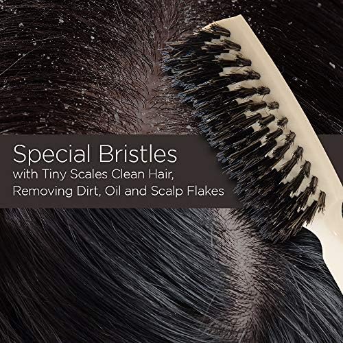 Fuller Brush Lustre Professional Hairbrush   6 Row Styling Hair Brush & Volumizer w/Natural Boar Bristle For Smoothing All Hair Types
