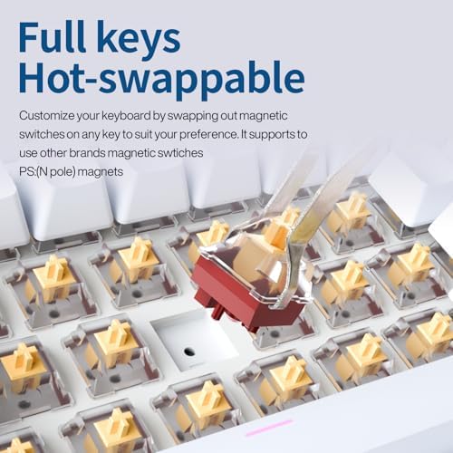 GK GAMAKAY TK75HE V2 Rapid Trigger Wireless Keyboard TFT Screen  Tri Mode BT/2 4GHz/USB C  8KHz Polling Rate 0 005mm RT  Hall Effect Magnetic Switch 75  Gaming Keyboard  White  Magnetic Mercury