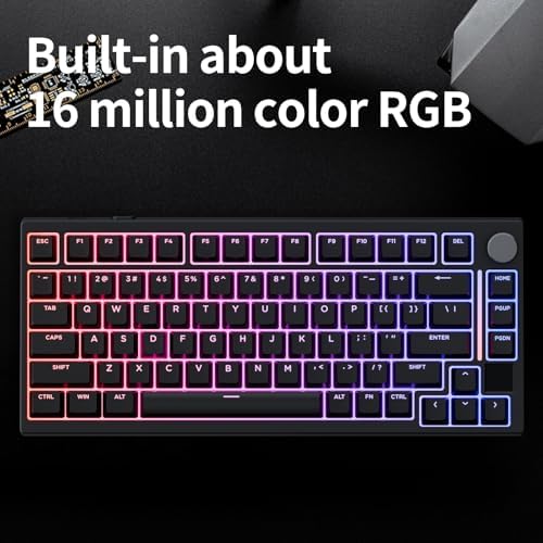 GK GAMAKAY TK75HE V2 Rapid Trigger Wireless Keyboard TFT Screen  Tri Mode BT/2 4GHz/USB C  8KHz Polling Rate 0 005mm RT  Hall Effect Magnetic Switch 75  Gaming Keyboard  White  Magnetic Mercury