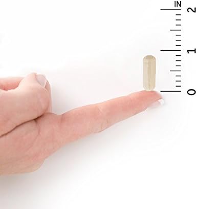 Garden of Life Dr  Formulated Probiotics Once Daily Prenatal   Acidophilus and Bifidobacteria Probiotic Support for Mom and Baby   Shelf Stable   Gluten  Dairy  and Soy Free   30 Vegetarian Capsules