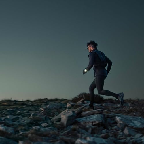 Garmin f nix  8   47 mm  AMOLED  Sapphire  Premium Multisport GPS Smartwatch  Long Lasting Battery Life  Dive Rated  Built in LED Flashlight  Carbon Gray DLC Titanium with Pebble Gray Band