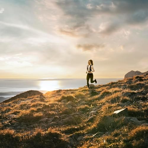 Garmin f nix  8   51 mm  Solar  Sapphire  Premium Multisport GPS Smartwatch  Long Lasting Battery Life  Dive Rated  Built in LED Flashlight  Carbon Gray DLC Titanium with Pebble Gray Band