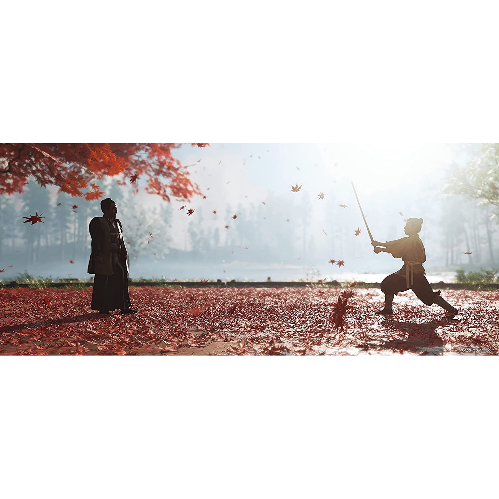Ghost of Tsushima  Director s Cut   PlayStation 5