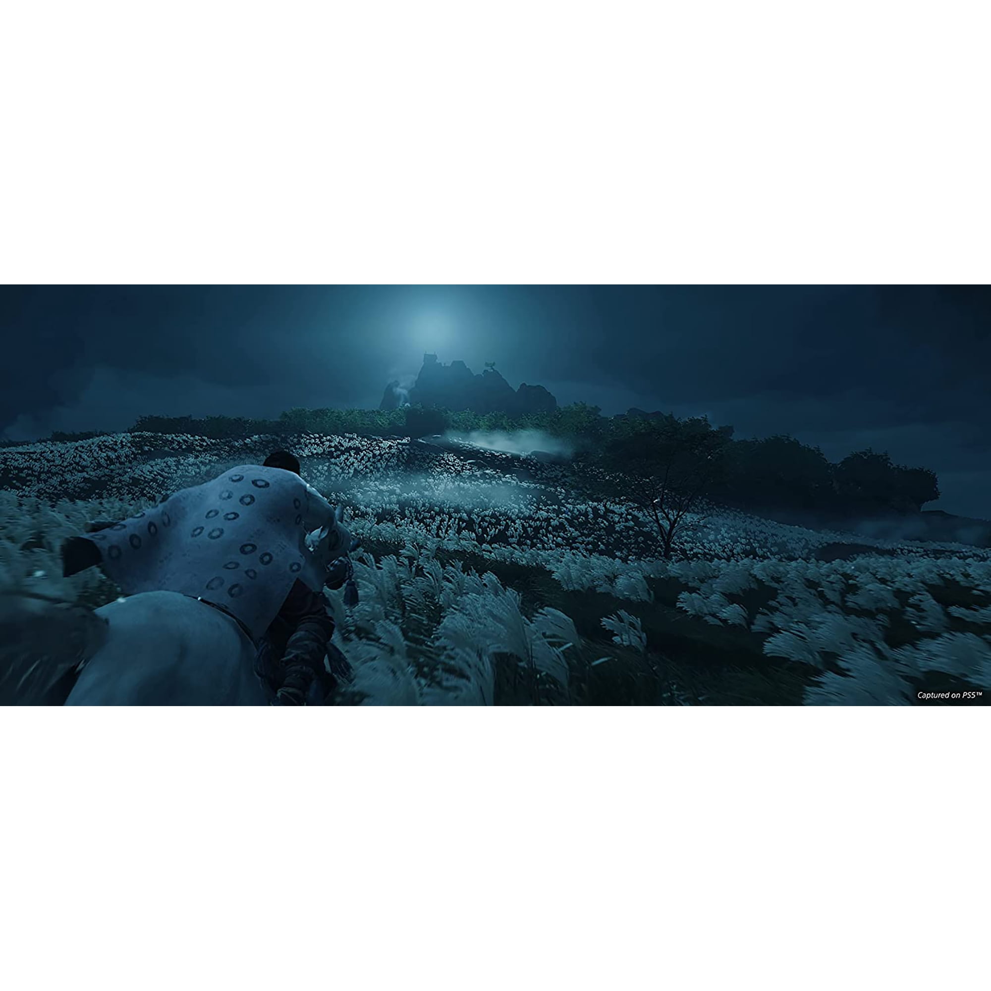 Ghost of Tsushima  Director s Cut   PlayStation 5