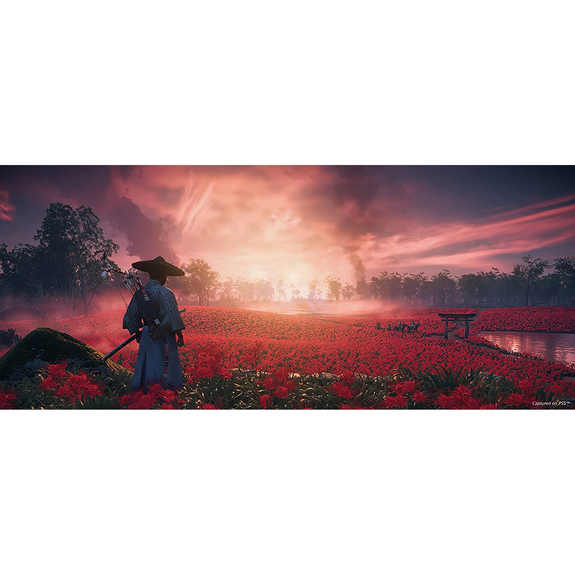 Ghost of Tsushima  Director s Cut   PlayStation 5