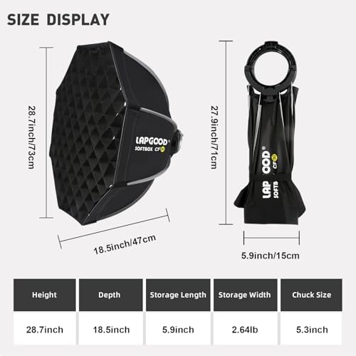 Godox MS300V 300W Studio Strobe Light Kit 2 4G Bowens Mount Photography Light with CF80 Quick Installation Softbox Stainless Steel Light Stand 5 in 1 Light Reflector for Studio Photography Lighting