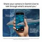 Google Pixel 10 Pro XL   256 GB   BLACK  Unlocked  BRAND NEW  SEALED IN BOX 