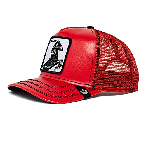 Goorin Bros. The Farm - Gorra unisex de cuero
