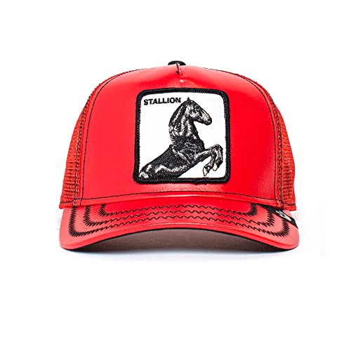 Goorin Bros. The Farm - Gorra unisex de cuero