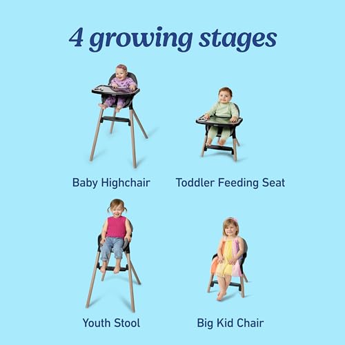 Graco Ready2Dine DLX 4 in 1 Highchair  Portable High Chair with 4 Growing Stages  Foldable Baby High Chair  Toddler Feeding Seat  Youth Stool  and Big Kid Seat  Hazen